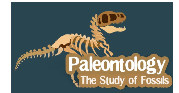 Geoprimex’s Vision for Future Geological Paradigms: EarthEmerge